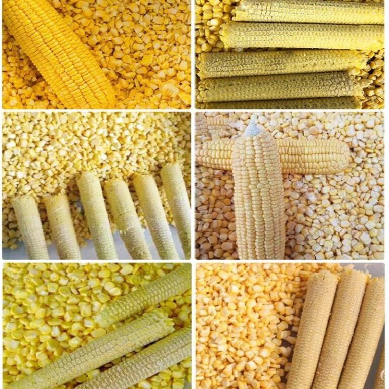 Sweet Corn Maize Sheller Thresher Fresh Corn Threshing Machine Corn Kernels Separating Removing Machine