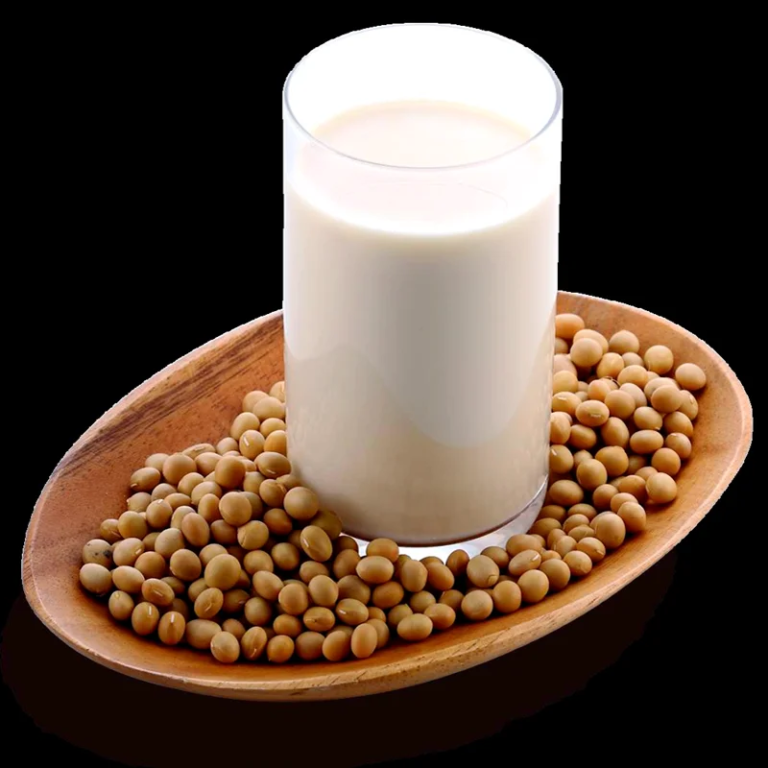 110/220V Commercial Soybean Milk Machine Filter-free Refiner Soymilk Machine Electric Semi-automatic Juicer Blender